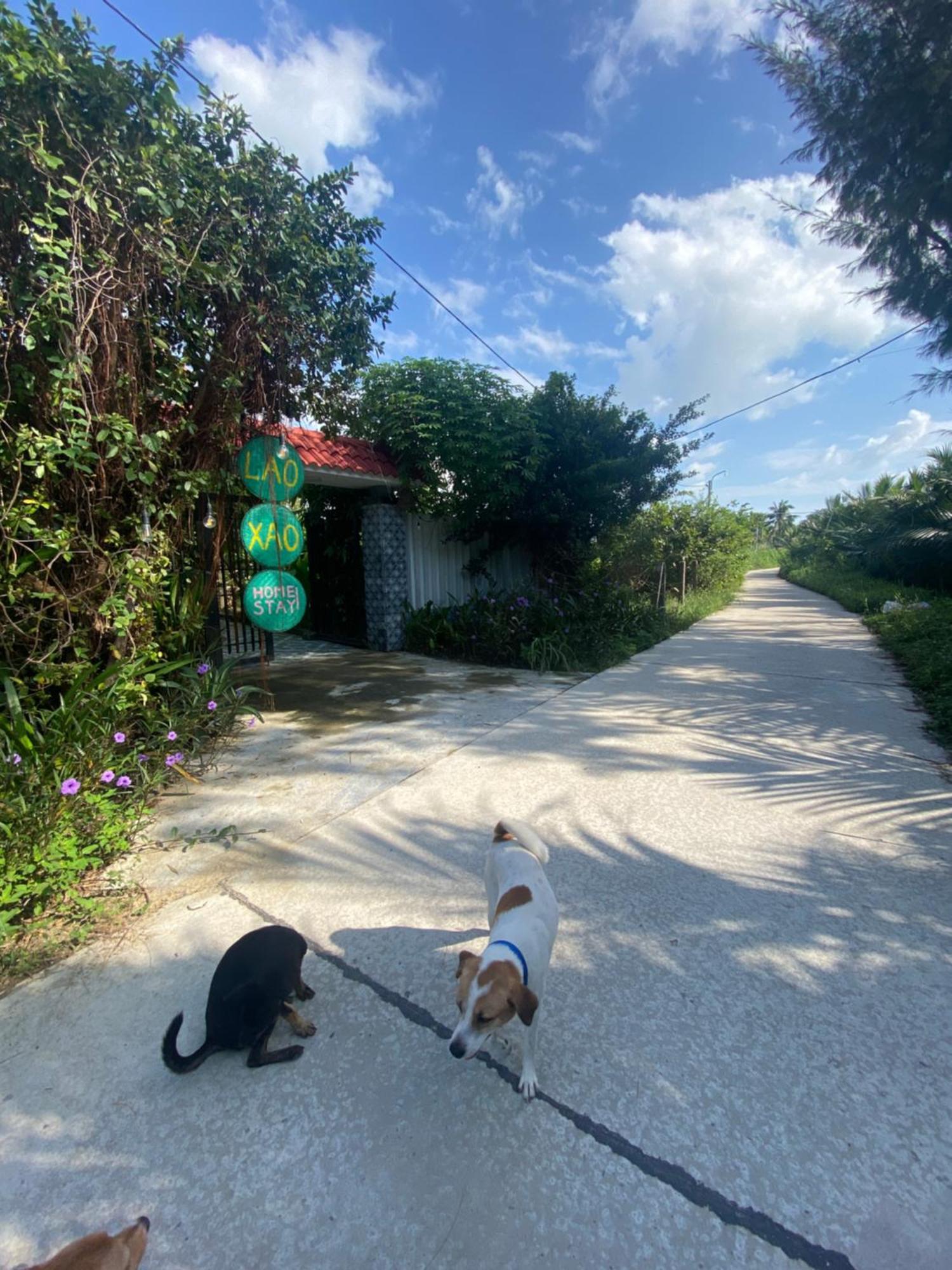 Laoxao Homestay Hội An Ngoại thất bức ảnh